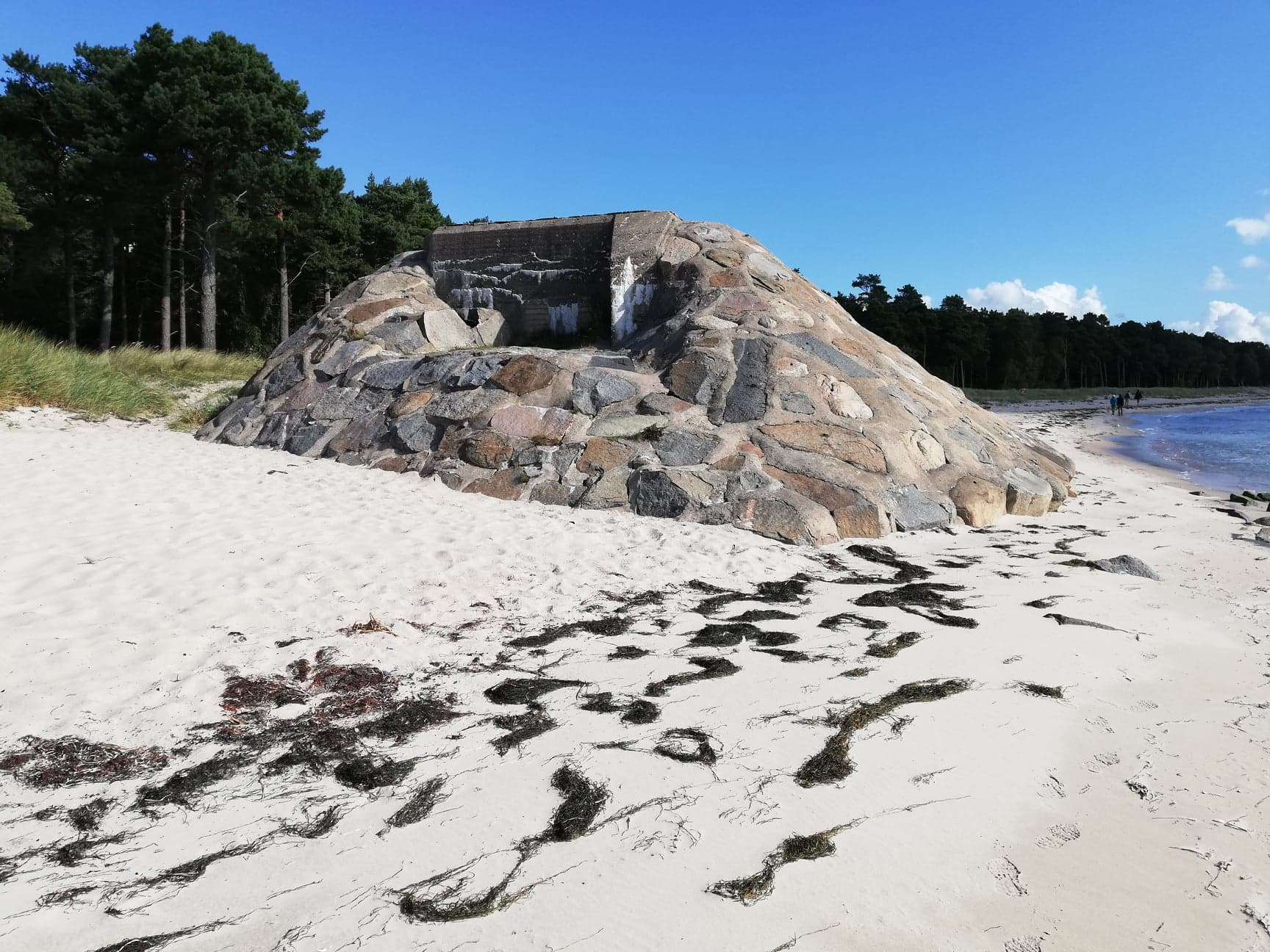 Värn 155 (Foto: Magnus Sjögren och  Oskar Gerhardsson) (Pv)